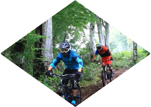 写真:文化・自然体験